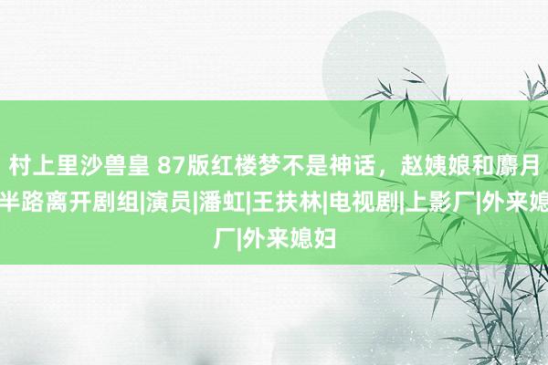 村上里沙兽皇 87版红楼梦不是神话，赵姨娘和麝月齐半路离开剧组|演员|潘虹|王扶林|电视剧|上影厂|外来媳妇