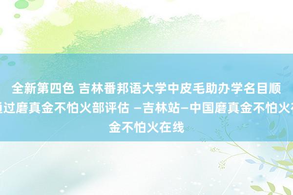 全新第四色 吉林番邦语大学中皮毛助办学名目顺利通过磨真金不怕火部评估 —吉林站—中国磨真金不怕火在线