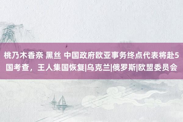 桃乃木香奈 黑丝 中国政府欧亚事务终点代表将赴5国考查，王人集国恢复|乌克兰|俄罗斯|欧盟委员会