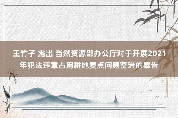 王竹子 露出 当然资源部办公厅对于开展2021年犯法违章占用耕地要点问题整治的奉告