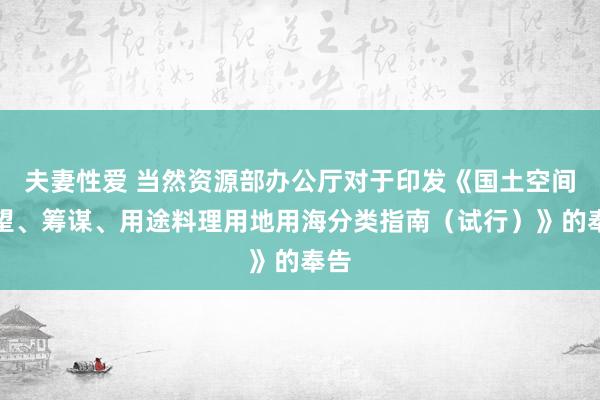 夫妻性爱 当然资源部办公厅对于印发《国土空间探望、筹谋、用途料理用地用海分类指南（试行）》的奉告