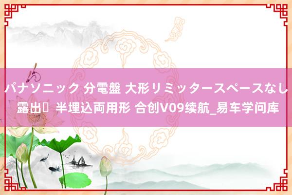 パナソニック 分電盤 大形リミッタースペースなし 露出・半埋込両用形 合创V09续航_易车学问库