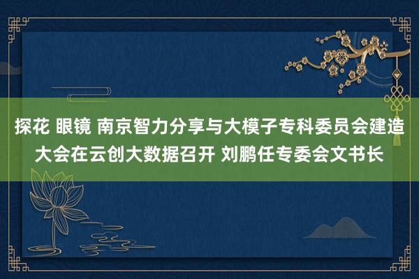 探花 眼镜 南京智力分享与大模子专科委员会建造大会在云创大数据召开 刘鹏任专委会文书长