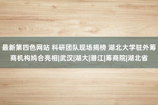 最新第四色网站 科研团队现场揭榜 湖北大学驻外筹商机构鸠合亮相|武汉|湖大|潜江|筹商院|湖北省