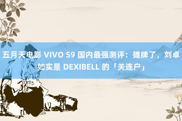 五月天电影 VIVO S9 国内最强测评：摊牌了，刘卓如实是 DEXIBELL 的「关连户」